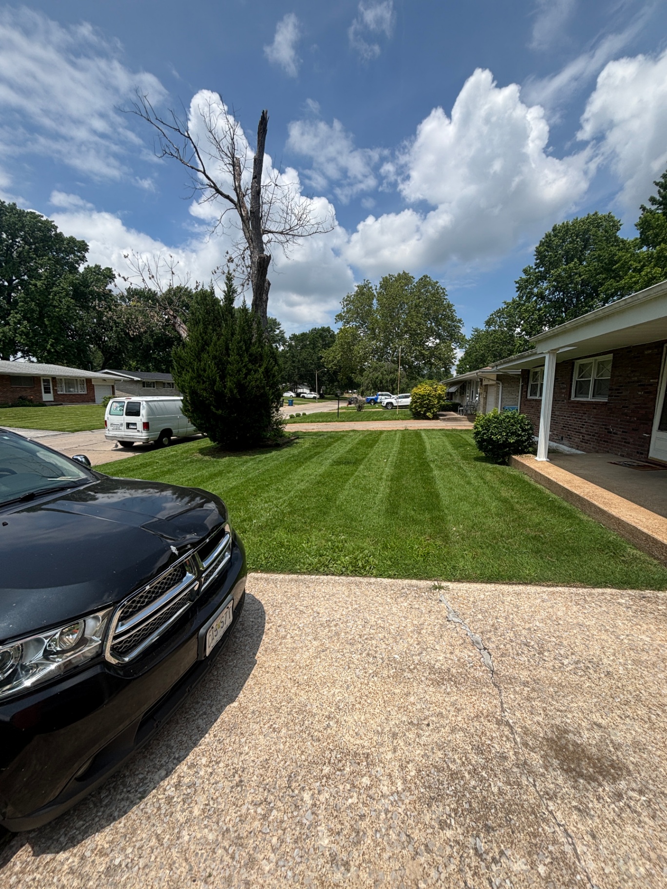 Recent landscaping project
